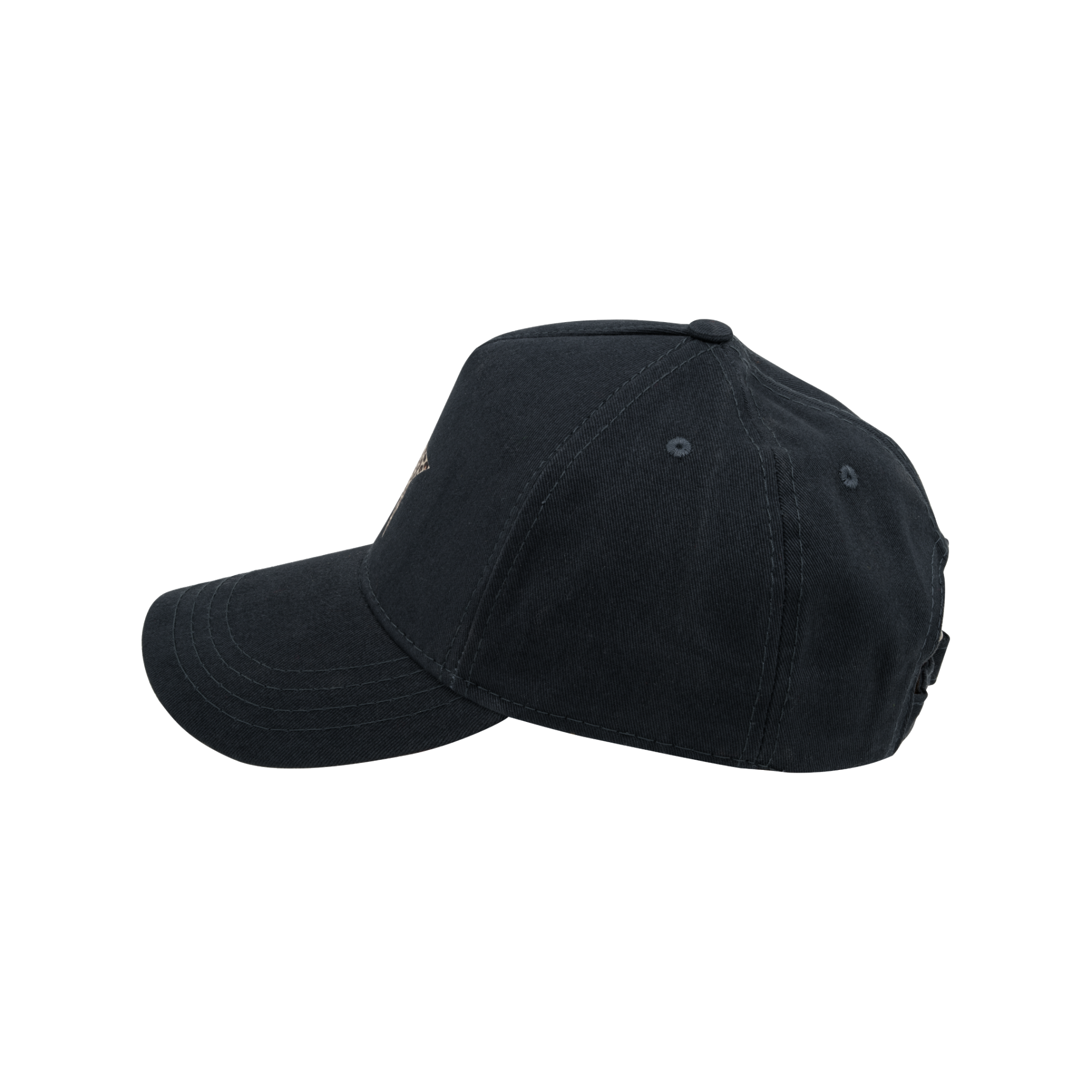 CAP 001